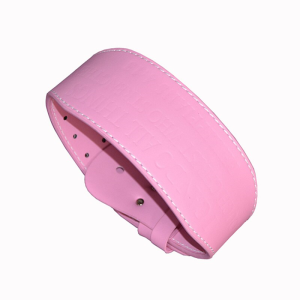 La Ceinture de Musculation PowerBloom Rose positionnée à côté d'équipements de fitness.